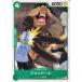 ONE PIECE ���ԡ��� �� �����С��� OP01-045 C