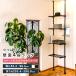 tsu... rack 4 step rack .. trim rack wall surface storage living toilet kitchen desk crevice storage space-saving paul (pole) rack stylish 