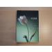 [ б/у ]HAPPY END.... хочет / Yoshimoto Yumi / Kadokawa Shoten библиотека 1-1