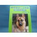  cover. upper part . just a little use impression equipped![ used ]... is kelp . person .. dog from li Thai a dog ./ saec many ../ rock cape bookstore 4-4