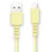 Type-C кабель 1.0M 4580393827348 FS-UAC100-YG