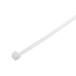 ELPA ī���Ŵ� ��«�Х�� 250MM 4901087207190 KBF-N250015(WH)