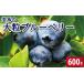 fu.... налог голубика крупный 600g 6 месяц c 7 месяц до конца отправка Berry Tokushima префектура 