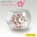 fu.... налог бутылка цветок Sakura someiyo инструмент для проволоки раунд type украшение Sakura Niigata префектура сверху . город 