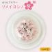 fu.... налог бутылка цветок Sakura someiyo инструмент для проволоки . тарелка type украшение Sakura Niigata префектура сверху . город 