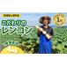 fu.... налог предубеждение. лотос 4kg l подарок прямая поставка от производителя префектура Ibaraki город Tsuchiura производство renkon лотос корень хруст .. бесплатная доставка * отдаленный остров к рассылка не возможно *202.. префектура Ibaraki город Tsuchiura 