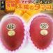 fu.... налог [ предшествующий прием!] Miyazaki префектура производство .. манго солнце. tamago[4L×2 шар ] несессер ввод {2027 год 5 месяц средний . после последовательный доставка }(41-0101)_( столица замок город ) Miyazaki префектура столица замок город 
