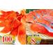 fu.... налог копченый лосось 2~3P( итого 400g)& соль кижуч порез ..1 порез ( примерно 70g)×8P A-09117 Hokkaido корень . город 