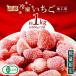 fu.... налог высококлассный рефрижератор клубника обработка для примерно 1kg( примерно 500g×2 пакет )[. глициния сельское хозяйство .] фрукты фрукты клубника . Kumamoto префектура специальный продукт органический иметь машина .... Kumamoto префектура гора олень город 