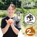 fu.... налог Awaji Island шар лук порей .-AYUMU- 2kg шар лук порей Hyogo префектура .. город 