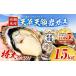 fu.... налог скала ..1.5kg... мыс вода производство .. сырой еда Kumamoto префектура . север блок 