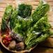 fu.... налог разнообразный еда тест. салатница . произведение .. овощи набор комплект [ свежий салат овощи 12 товар ][ рассылка не возможно регион : отдаленный остров ][1454167] Shizuoka префектура Iwata-shi 