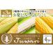 fu.... tax [3 times fixed period flight ][Juwari-....-] pleasure corn 4kg and more 41-G Ibaraki prefecture Omitama city 