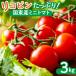 �ӂ邳�Ɣ[�� ���R�s�������Ղ�I�����Y�~�j�g�}�g3kg _0260N �啪�������s