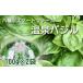 fu.... tax [ Hachiman flat city production ] hot spring basil 100g×2 sack | fresh raw condiment herb Smart farm Iwate prefecture Hachiman flat city 