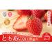 fu.... tax [ preceding reservation ].. length fresh Tochigi. strawberry .....| strawberry Tochigi ....... sugar times . fresh fruit fruit arrange acid.. Tochigi prefecture Utsunomiya city 