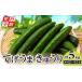 fu.... налог [ предшествующий предварительный заказ ].... огурец 5kg овощи огурец свежий Miyazaki префектура Miyazaki город 