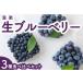 fu.... tax P311-07. comfort raw blueberry 3 kind meal . comparing set 7 month delivery Fukuoka prefecture float is city 