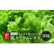 fu.... tax [ with translation ] low kalium lettuce 500g don't fit clean room cultivation less pesticide freshness long-lasting [ vegetable raw vegetable lettuce salad hydroponic culture ... meal.. Fukui prefecture beautiful . block 