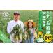 fu.... tax .... ripening . sphere leek ( with translation )5kg Hyogo prefecture south ... city 