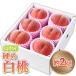 fu.... налог Yamagata производство ..[ белый персик ] превосходящий товар примерно 2kg (5 шар ~8 шар )[. мир 8 год производство предшествующий предварительный заказ ] FS24-083.. было использовано фрукты фрукты Yamagata Yamagata префектура Yamagata город 2026 год.. Yamagata префектура Yamagata город 