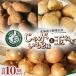 fu.... налог картофель 2 вид шар лук порей всего 10kg комплект Hokkaido Tokachi Obihiro производство _ овощи шар лук порей лук репчатый tama лук-батун овощи картофель ..jagaimo лошадь колокольчик.. Hokkaido Obihiro город 