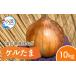 fu.... tax [ preceding reservation ] Fukui prefecture production sphere leek keru Tama 10kg[2024 year 7 month on ... sequential shipping ][Y-086001] Fukui prefecture small . city 