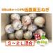 fu.... tax [ with translation ] low pesticide sphere leek . home use S~2L mixing approximately 4kg[5 month middle .~7 month middle . shipping expectation ] Wakayama prefecture wig . block 