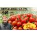 fu.... налог рисовое поле . san .. прекрасный тест .. мини помидоры маленький колокольчик примерно 2kg(1.0kg×2 коробка ) GP-709| овощи помидор мини помидоры прямая поставка от производителя мини помидоры свежий to.. Кагосима префектура юг большой . блок 