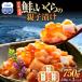 fu.... налог [2026 год 10 месяц отправка ] Hokkaido производство лосось ..... родители ...750g (250g × 3 упаковка ) небольшое количество .l... морепродукты фарфоровая пиала Hokkaido .. блок 