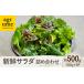 fu.... налог гидропонная культура свежий салат овощи. набор комплект примерно 100g×5 пакет длина . блок / UGG дракон m[EAI136] свежий овощи салат ... комплект .... Nagasaki префектура длина . блок 