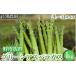 fu.... налог 26-B специальный отбор! спаржа 1kg(2L~3L) размер *2026 год 4 месяц средний .~5 месяц средний . примерно . последовательный отправка предположительно Fukushima префектура Aizu склон внизу блок 