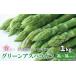 fu.... налог [ предшествующий предварительный заказ ] очень толстый Hokkaido производство весна .. зеленый спаржа 1kg 3L~2L.книга@ сельское хозяйство место Hokkaido каштан гора блок 