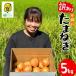 fu.... налог шар лук порей 5kg есть перевод Awaji Island / шар лук порей Hyogo префектура 