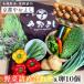 �ӂ邳�Ɣ[�� �L�@��؋l�ߍ��킹���� ��� ���s�{�T���s