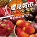 fu.... налог [ все 6 раз ] популярный! Okinawa фрукты установленный срок рейс (AC020) Okinawa префектура . видеть замок город 