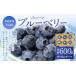 fu.... налог местного производства голубика Fukuoka префектура производство .. сельское хозяйство .100g×6 упаковка [2026 год 6 месяц сверху .-7 месяц сверху . отправка предположительно ] фрукты Berry небольшое количество . фрукты рука .... Fukuoka префектура Kitakyushu город 