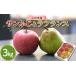 �ӂ邳�Ɣ[�� ��� �T���ӂ� �� �m�Ȃ� ���E�t�����X �Z�b�g 3kg �G�i �M�t�g������ �R�`���Y �y�ߘa8�N�x ��s�\��z FSY-1390 �R�`��