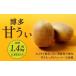 fu.... налог Fukuoka префектура производство Hakata ... примерно 1.4kg( большой шар 9 шар ввод )[2026 год 10 месяц последняя декада ~11 месяц последняя декада отправка предположительно ] киви киви фрукты фрукты фрукты ..... Fukuoka префектура Kitakyushu город 