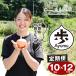 fu.... налог [ установленный срок рейс 12 месяцев ] Awaji Island лук репчатый .-AYUMU- 10kg шар лук порей Hyogo префектура .. город 