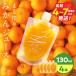 �ӂ邳�Ɣ[�� �ʏ` 100�� �܂��� �݂��� �W���[�X 130ml�~4�{ ���� �\�t�g�h�����N �ʕ� �t���[�c ���k �~�J�� �V���[�x�b�g ���Y �l�C ��.. �{�茧����s