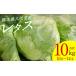 fu.... налог lettuce 10kg (10 шар ~14 шар ) овощи лист предмет ... салат установка .. свежий прямая поставка от производителя рефрижератор Kumamoto префектура . плата город 