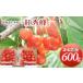 fu.... налог вишня 600g. превосходящий .L-M размер смешивание sa Clan bo Hokkaido . дерево блок 
