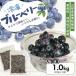 �ӂ邳�Ɣ[�� �Ⓚ�u���[�x���[1.0kg(500g�~2��) �R�`���Y �Ⓚ�� �����������s�� �Ⓚ �Ⓚ�t���[�c �u���[�x���[ �t���[�c �W���� �W���[.. �R�`���V����