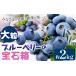 fu.... налог [2026 год предшествующий предварительный заказ ] голубика крупный итого 2kg (500g×4 упаковка ) крупный голубика. драгоценнный камень коробка зонт .. синий пустой ферма {2026 год 6 месяц сверху.. Okayama префектура . холм город 