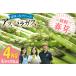 �դ뤵��Ǽ�� �����ѥ� �����ѥ饬�� �ղꥢ���ѥ饬�� 4kg L �������ʾ� [�Ϥ�ä�FARM Ĺ�긩 �����Į hs42bag360019] Ĺ�긩�����Į