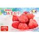 �ӂ邳�Ɣ[�� ������ �����Y �Ⓚ���܂��� ��500g�~3�� �Ⓚ � �C�`�S ���܂��� �t���[�c �ʕ� ���z���s��:���� �������品����