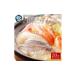 դ뤵Ǽ ²λŹߤΤҤŷڿ20ڡʿѥåˡ1.8kg  ʬ / í   ڤ ڿ   Ƥ .. ²λĮ