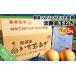 fu.... налог [ овощи сомелье summit золотой .] Awaji Island шар лук порей 5kg[. рисовое поле синий .. Awaji Island .. шар лук порей ] Hyogo префектура юг ... город 
