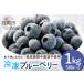fu.... налог [ 2026 год предшествующий предварительный заказ ] изначальный ..... голубика 1kg рефрижератор ( 500g 4 упаковка ) пестициды культивирование период средний не использование фрукты фрукты 1 kilo рука .... Ibaraki префектура камень холм город 